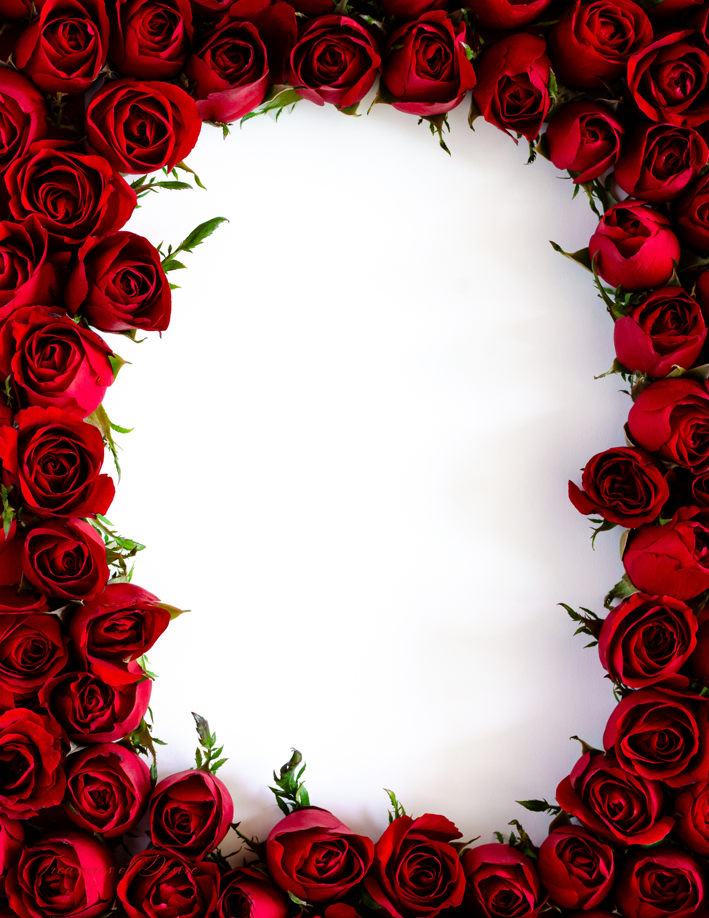 Rose Boardered Stationary Set Digital Download
