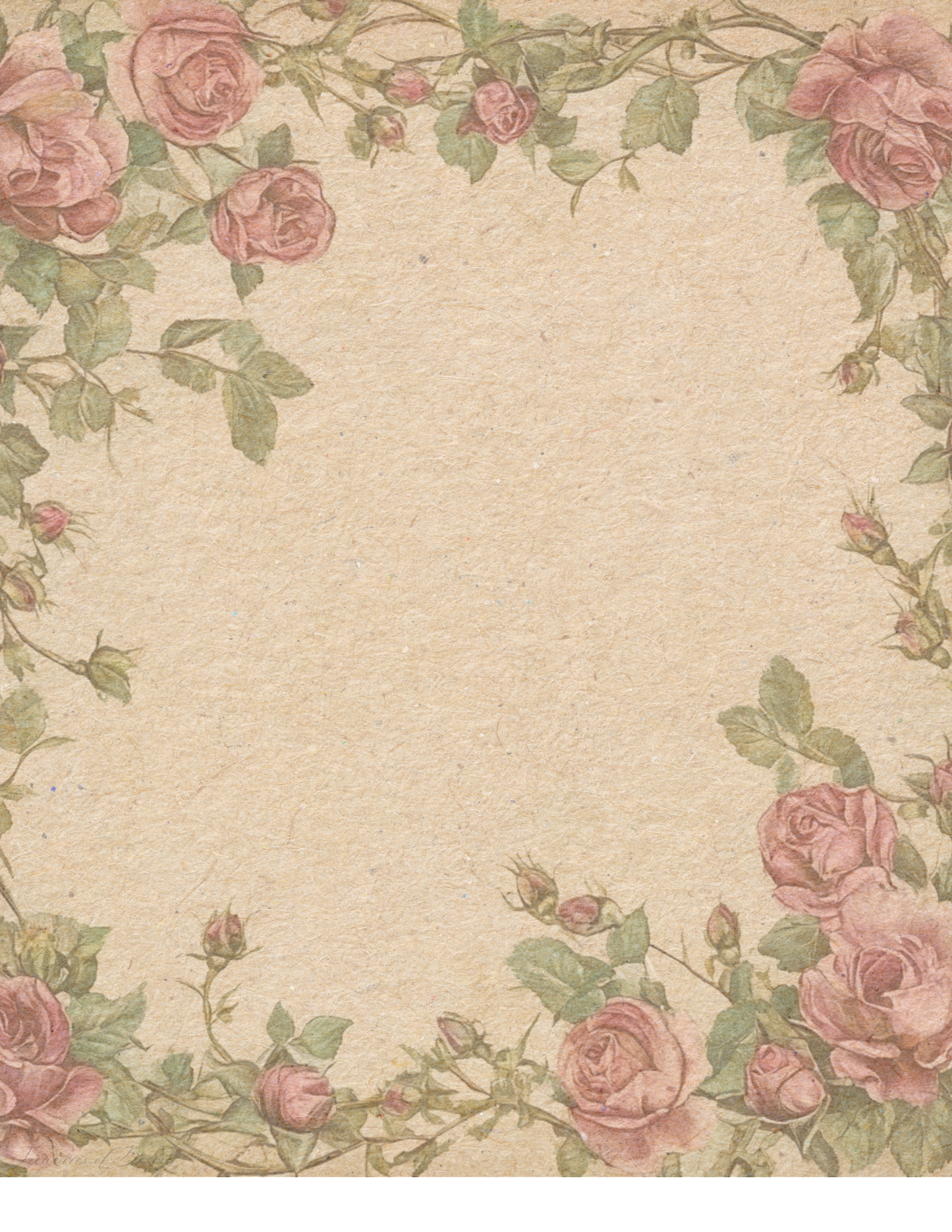Blushing Bloom Roses