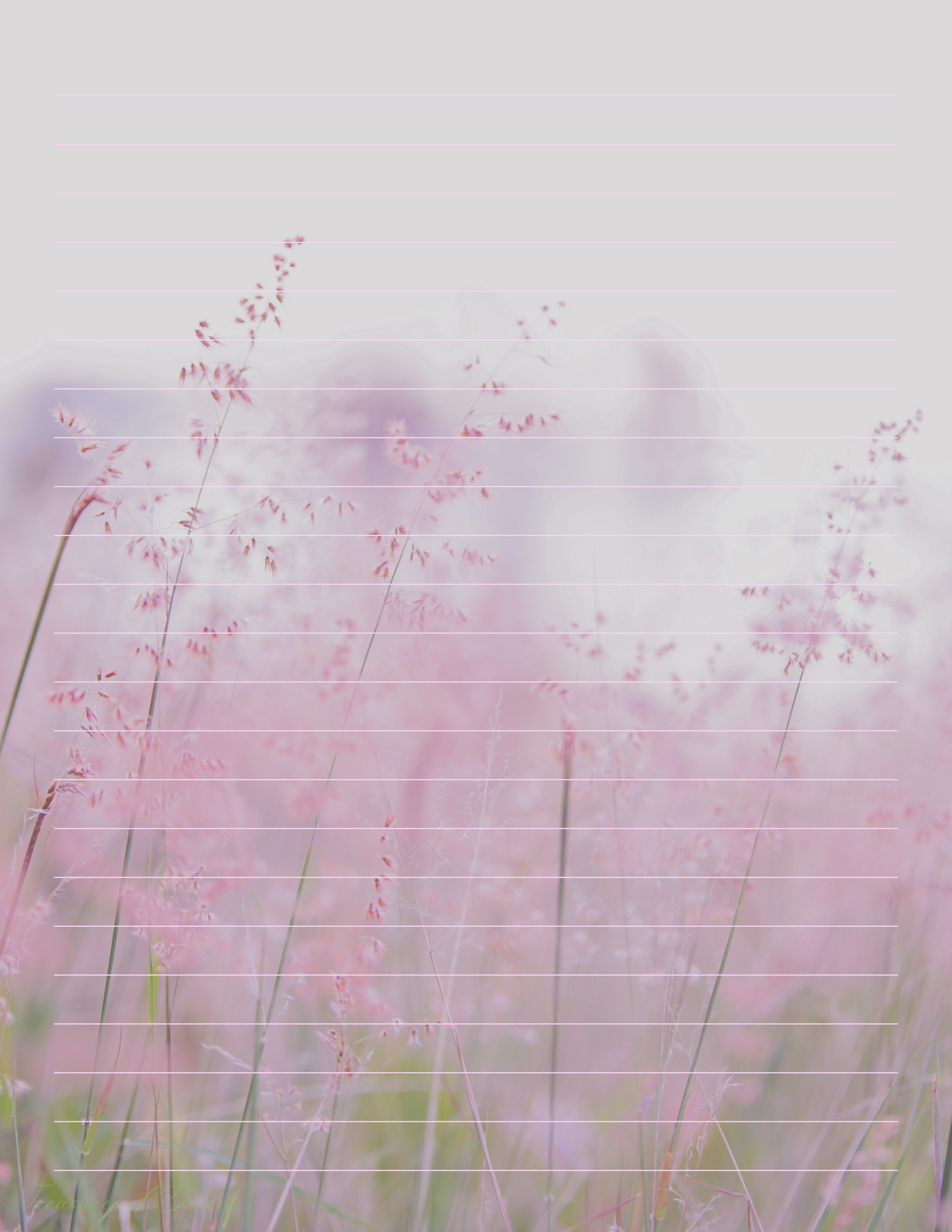 Pink Meadow Spring Stationery Set – 30 Sheets | 8.5 x 11 in Floral Writing Paper