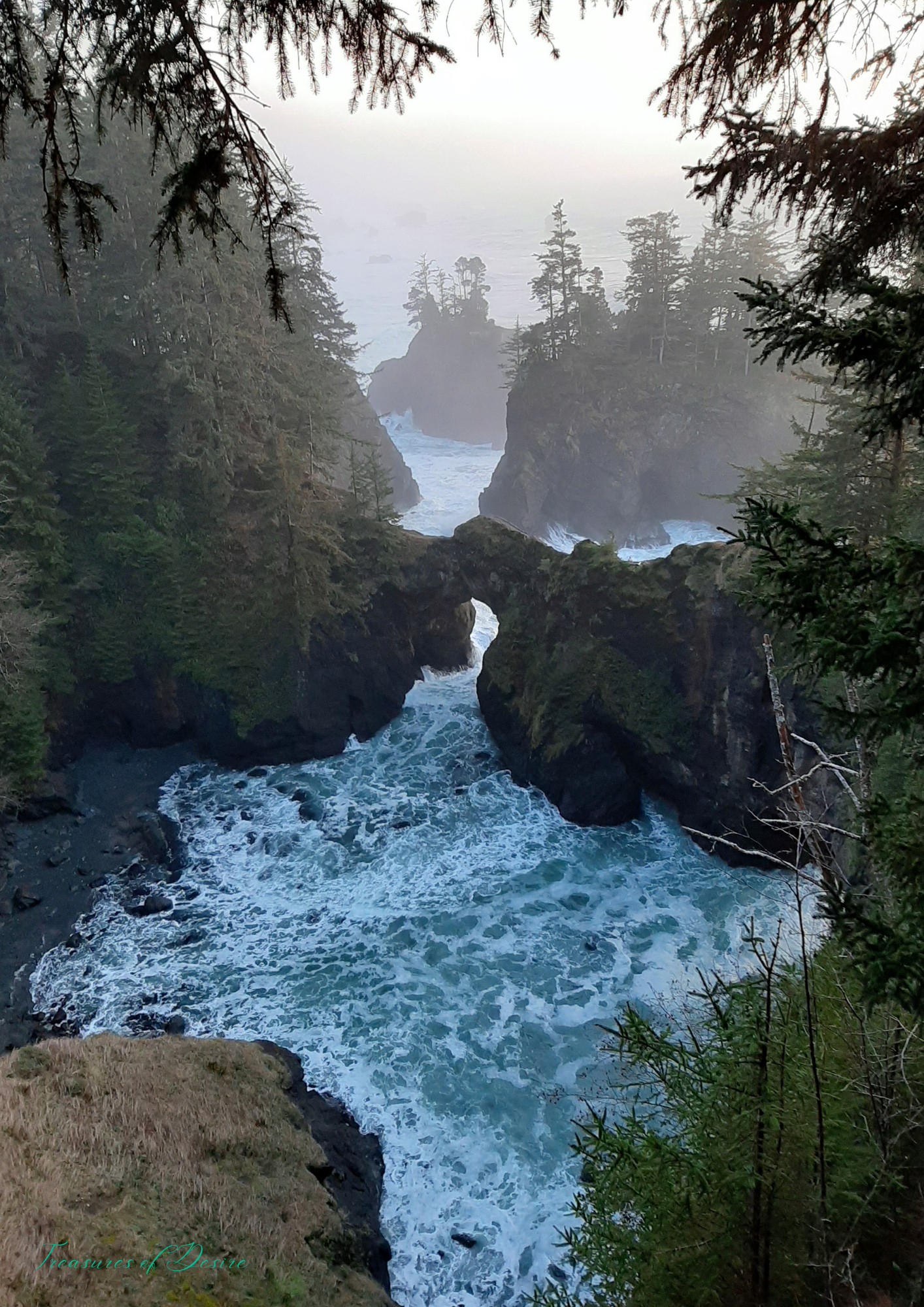 Oregon Coast Stationary Set Digital Download