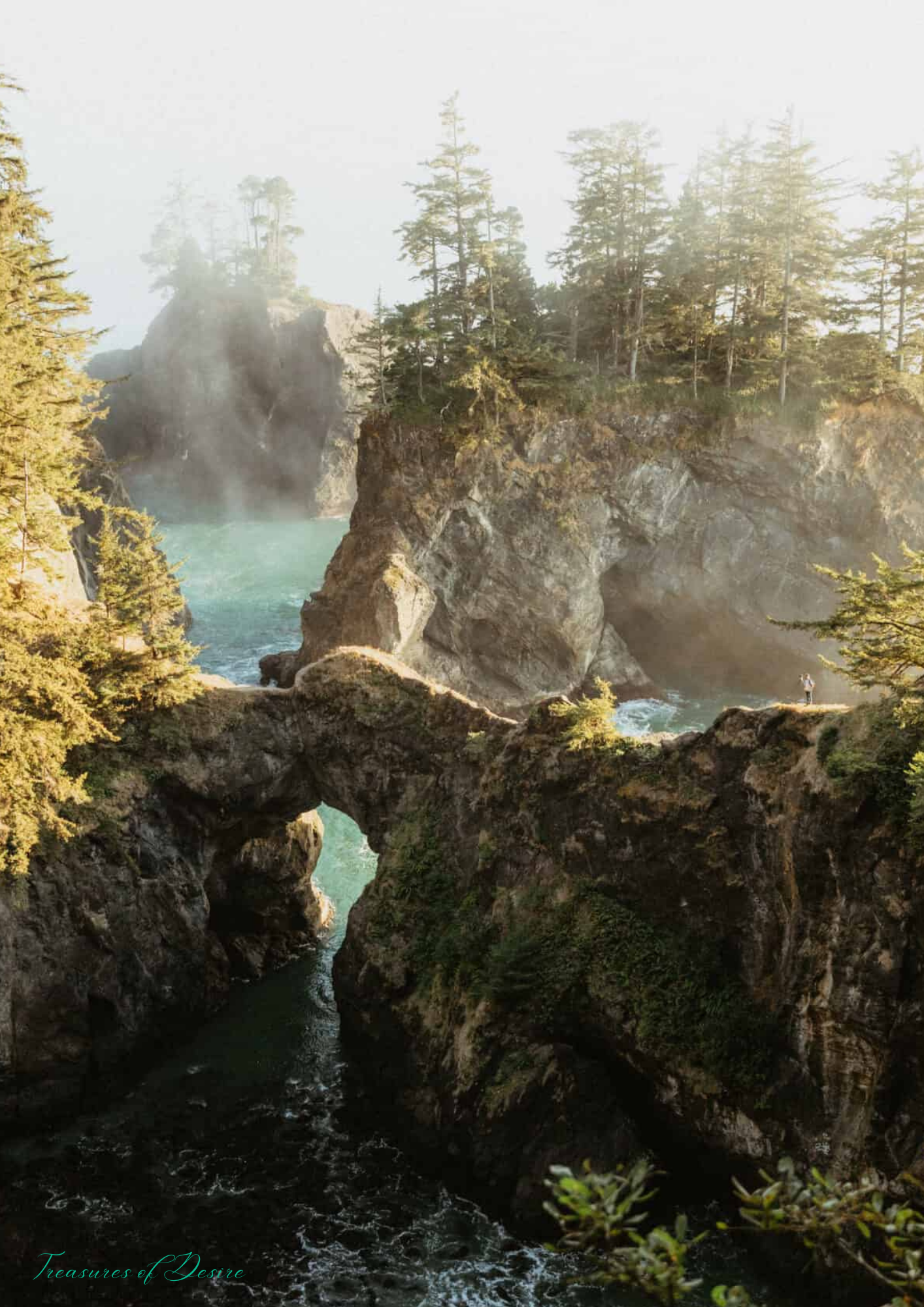 Oregon Coast Stationary Set Digital Download