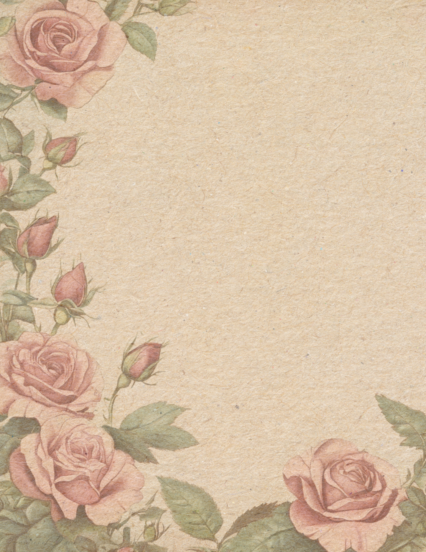 Blushing Bloom Roses