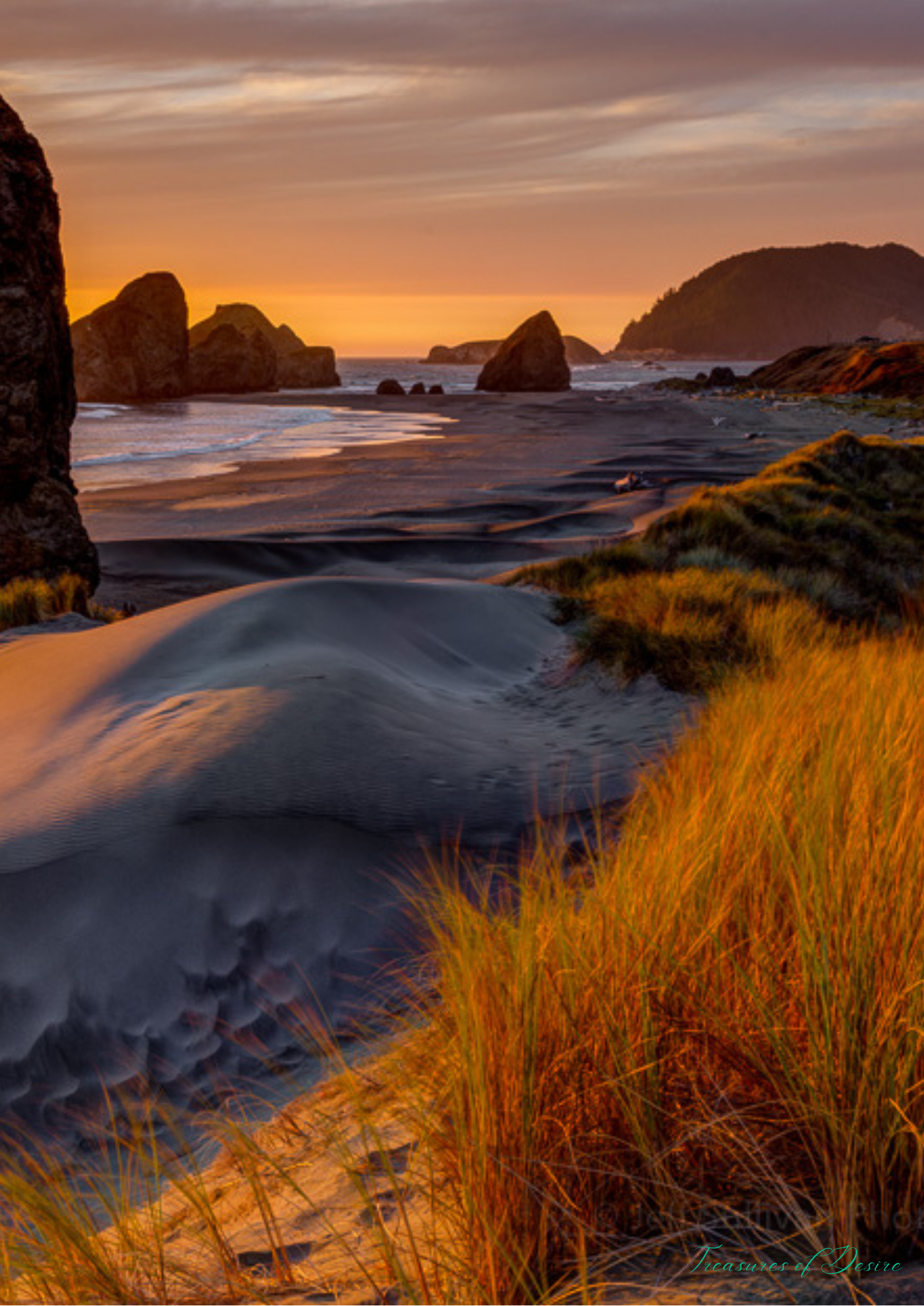 Oregon Coast Stationary Set Digital Download