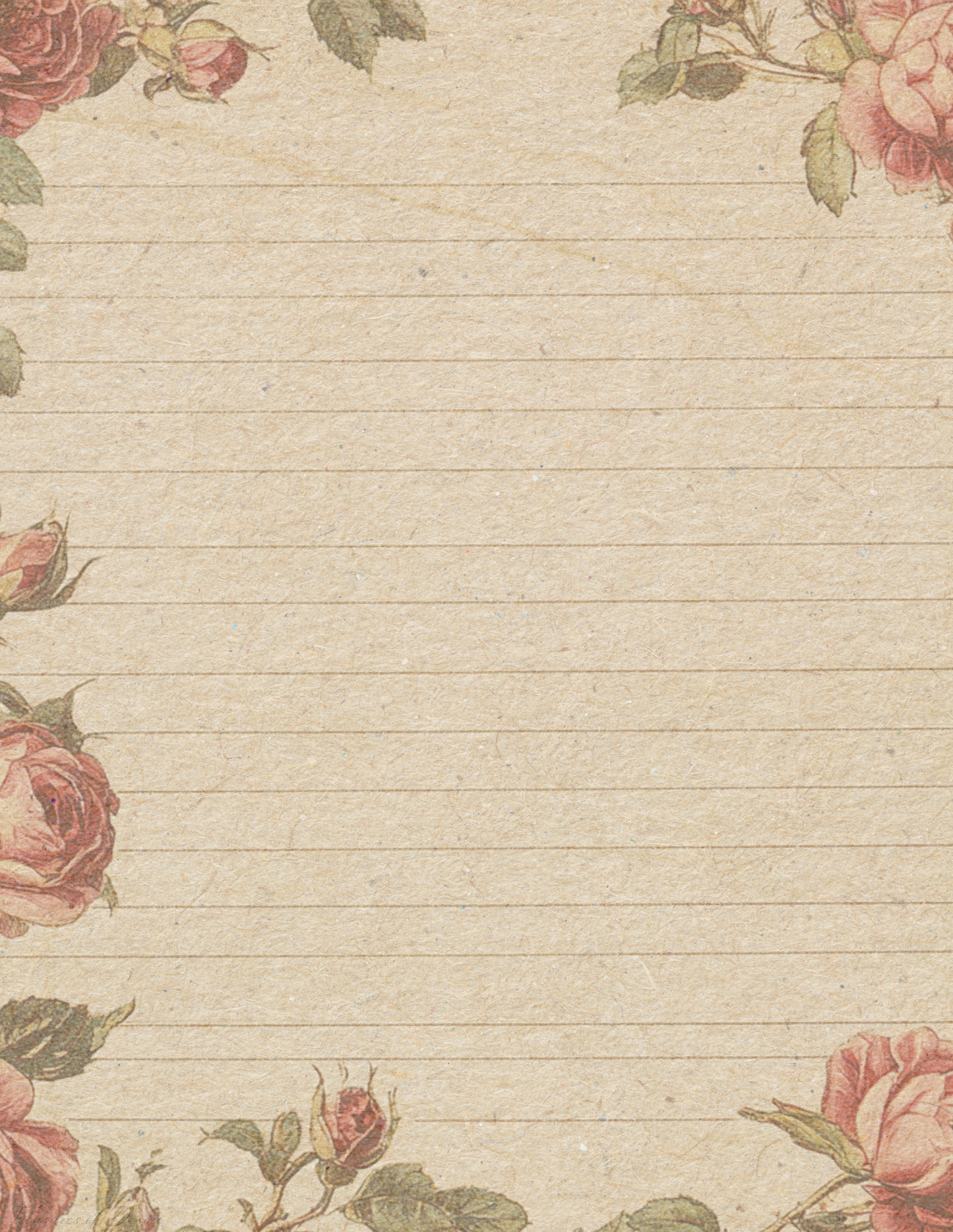 Blushing Bloom Roses