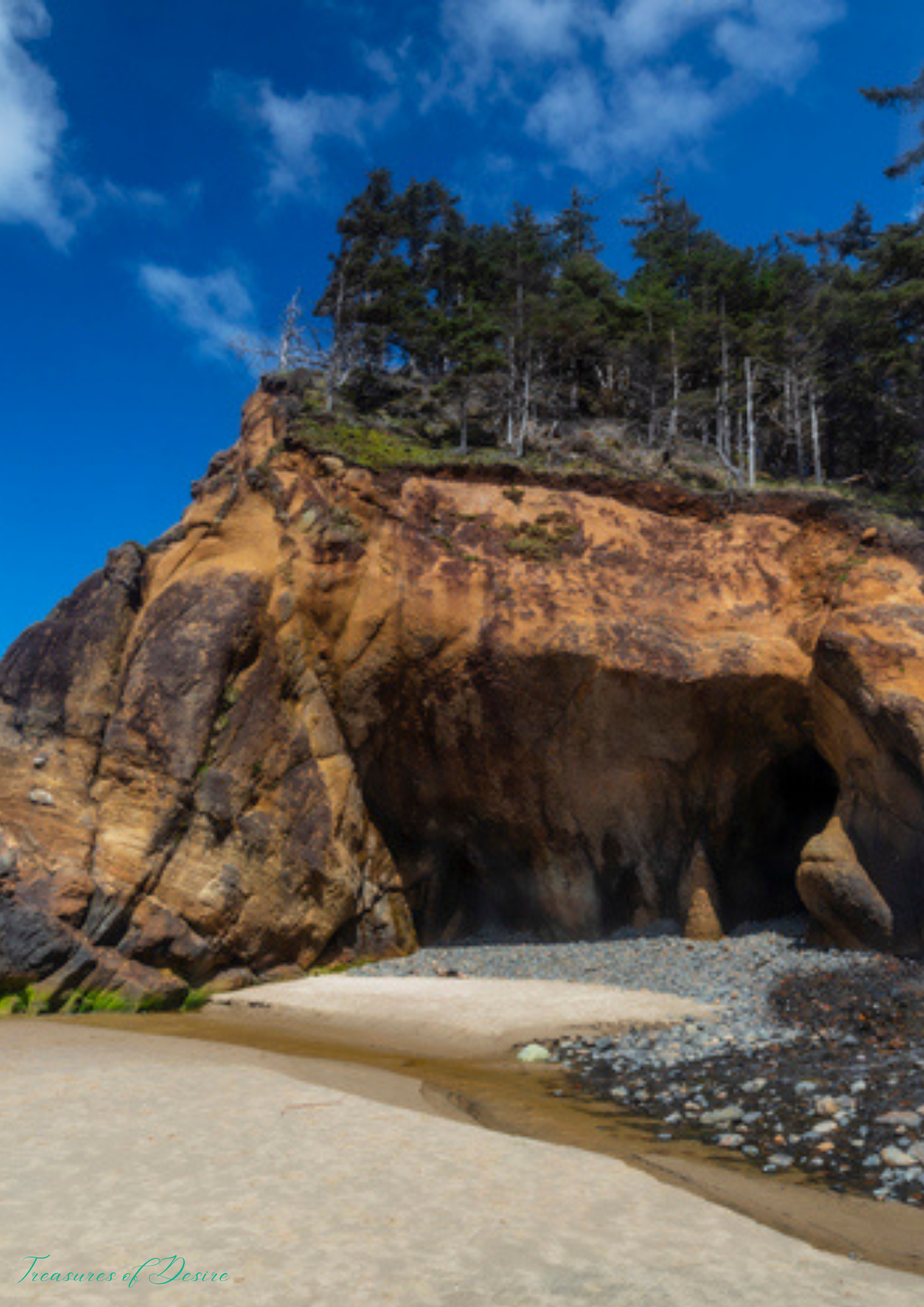 Oregon Coast Stationary Set Digital Download