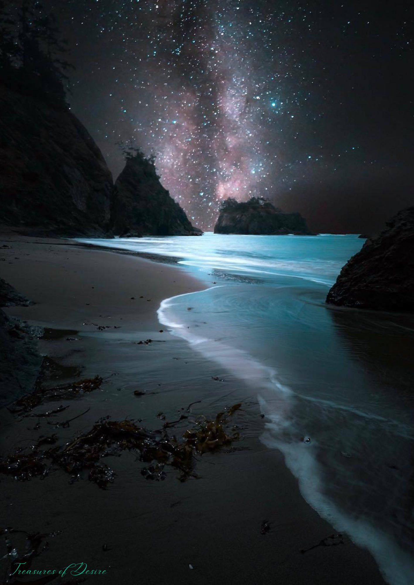Oregon Coast Stationary Set Digital Download