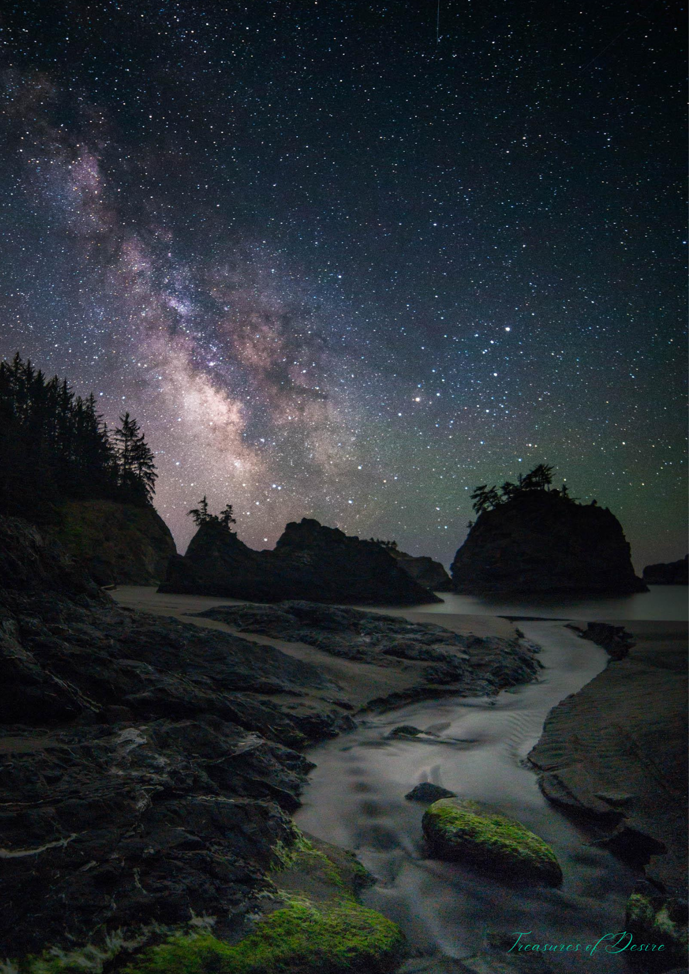 Oregon Coast Stationary Set Digital Download