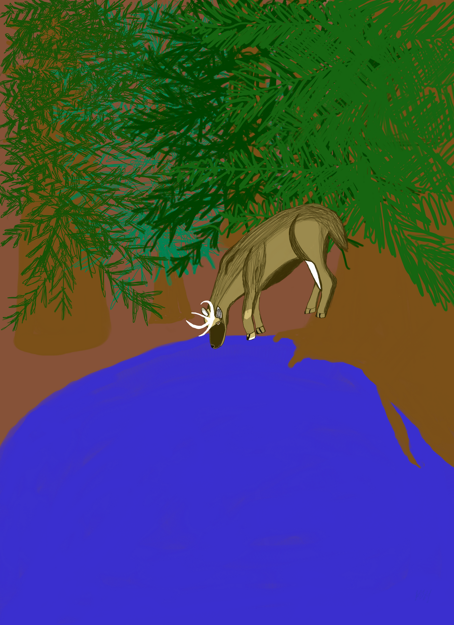 The Elk