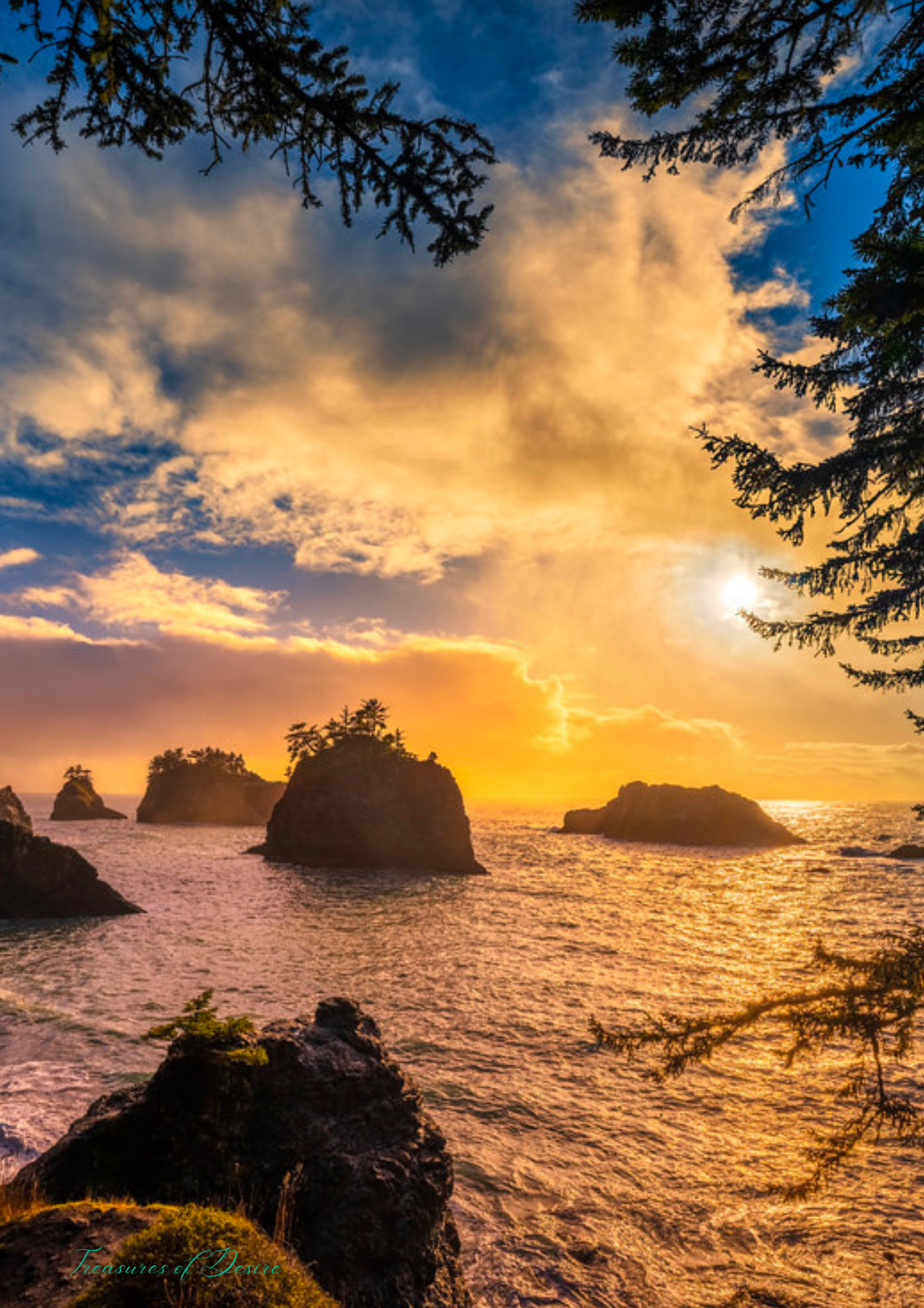 Oregon Coast Stationary Set Digital Download