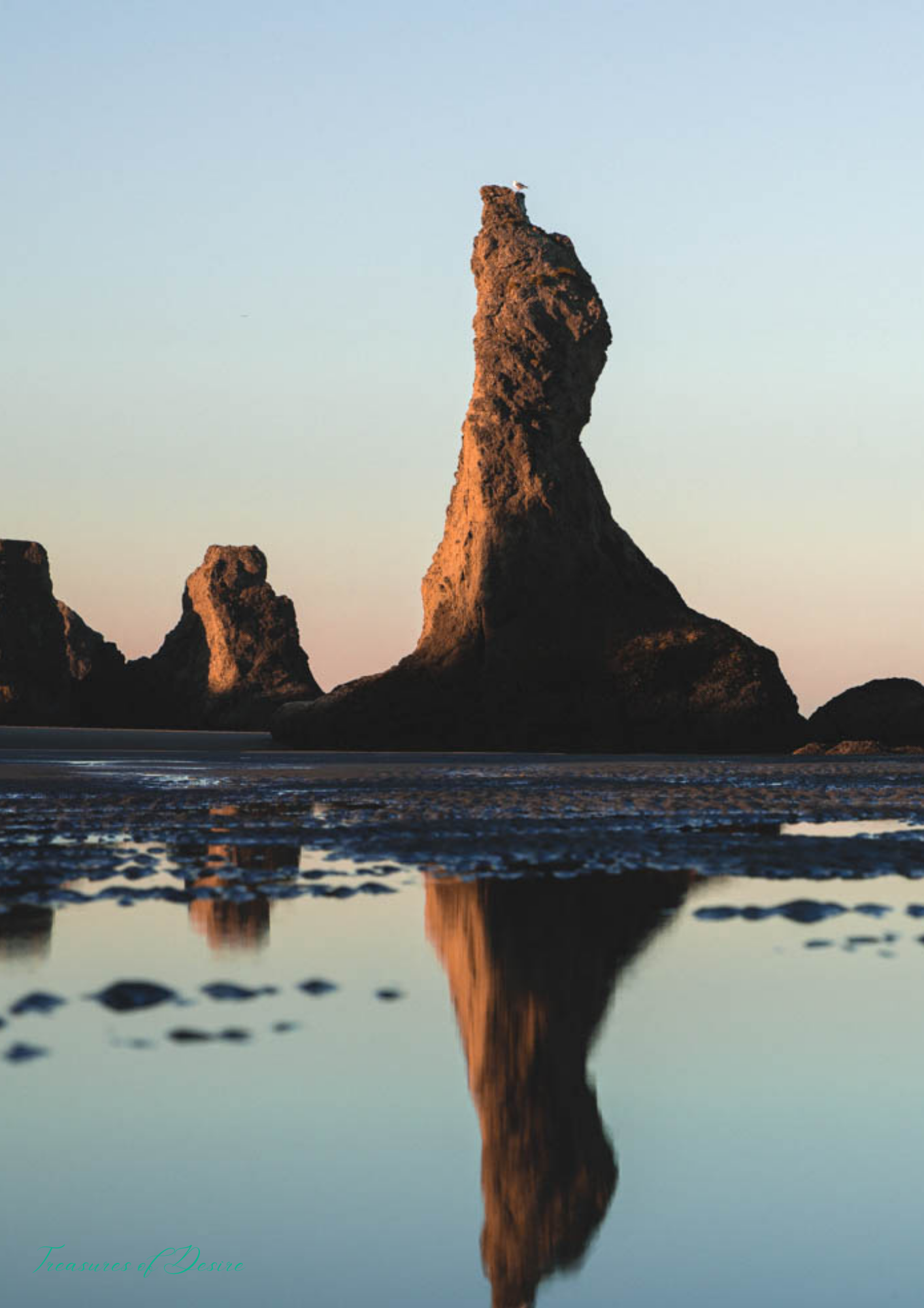 Oregon Coast Stationary Set Digital Download