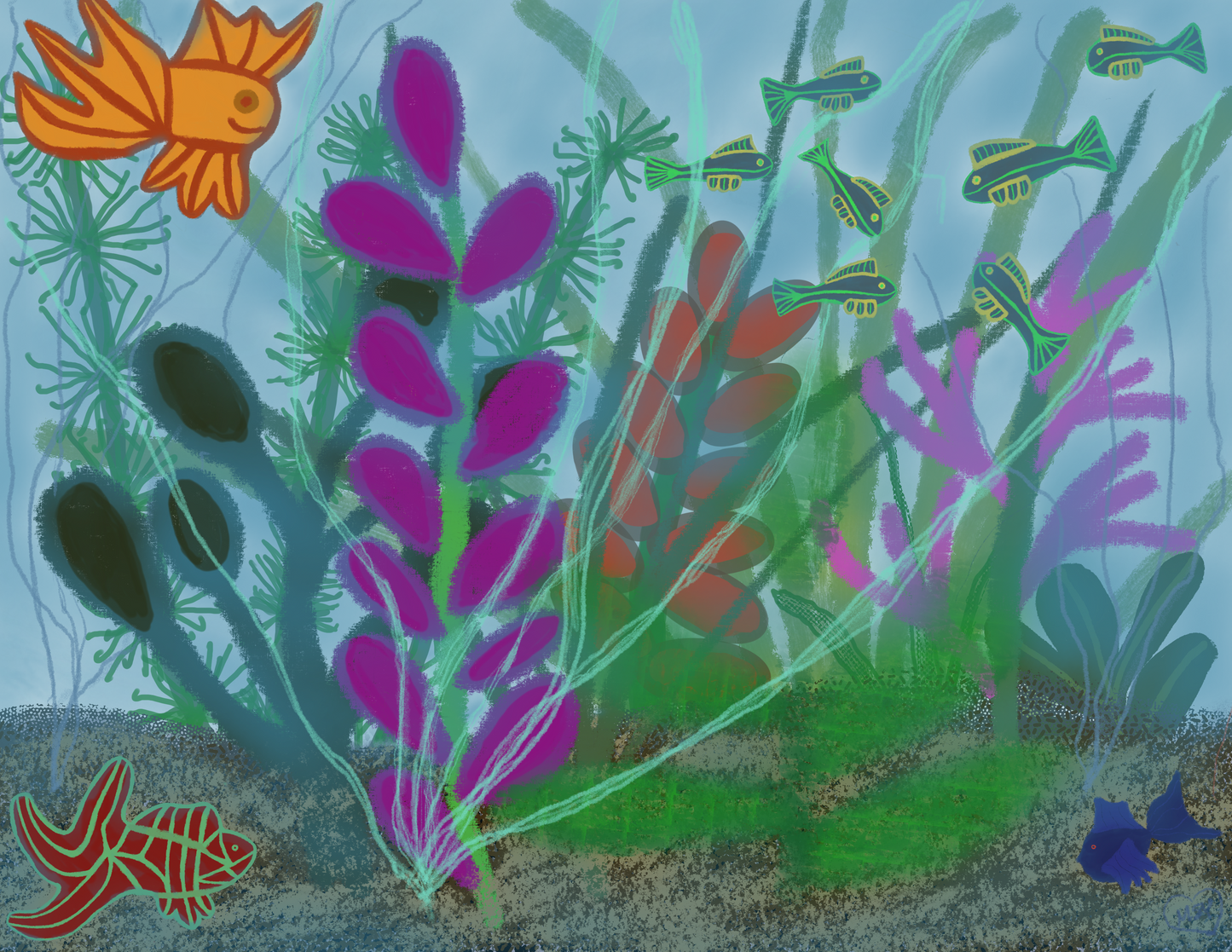 The Aquarium
