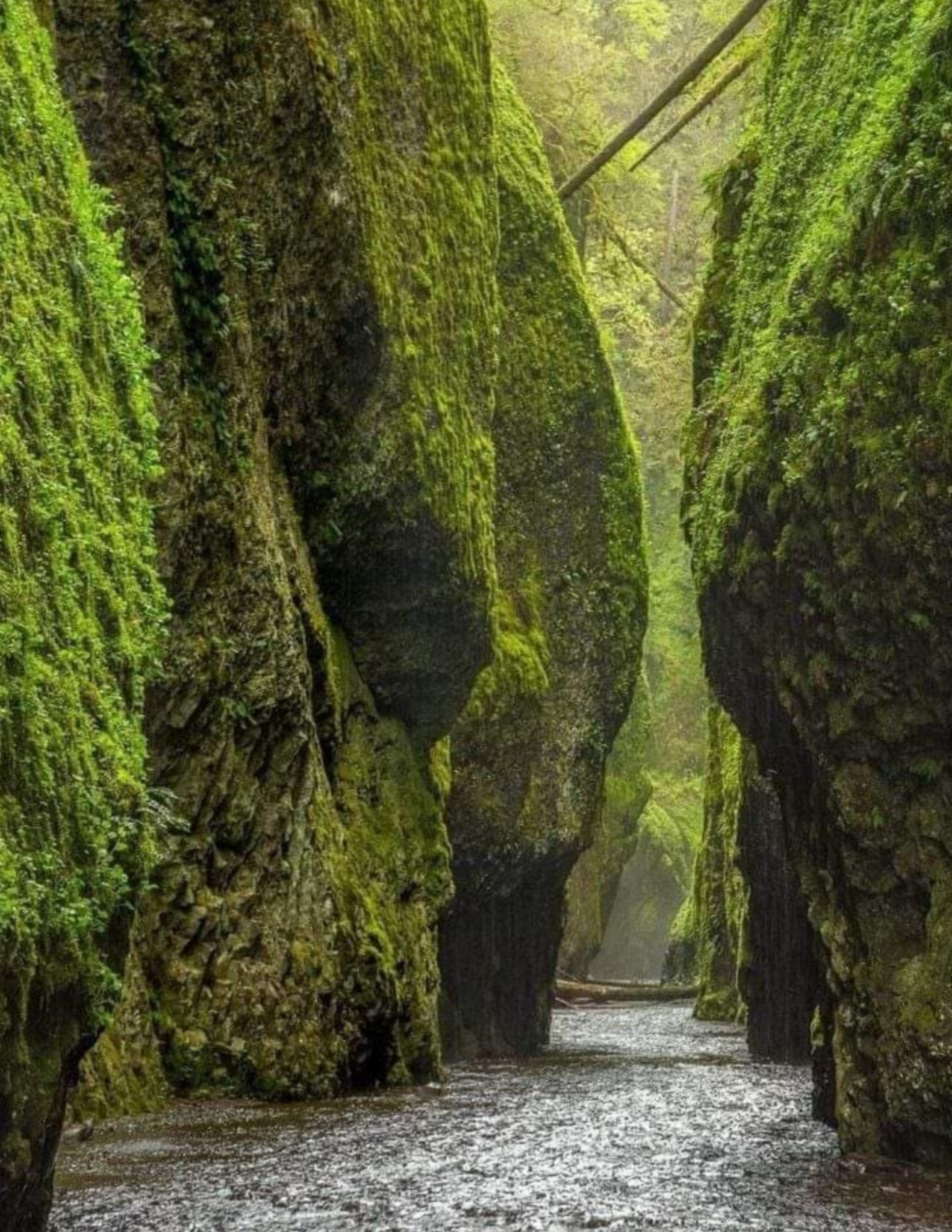 Oregon's Columbia George Poster Print