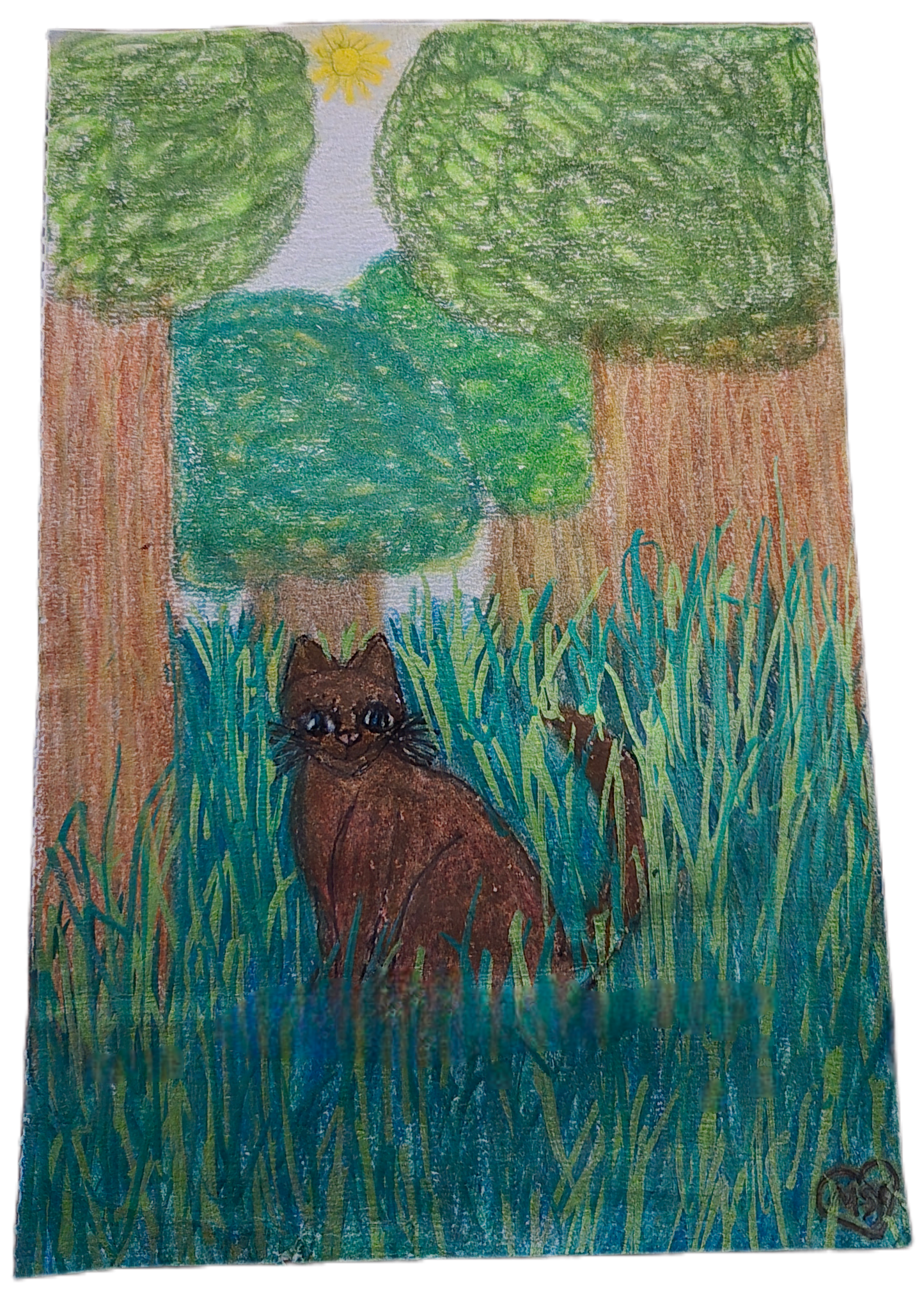 Forest Gaze