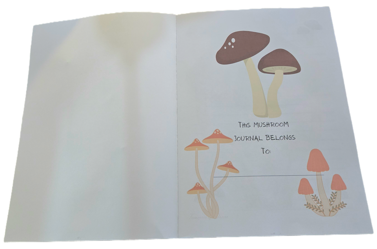 Mushroom Lore Keeper
