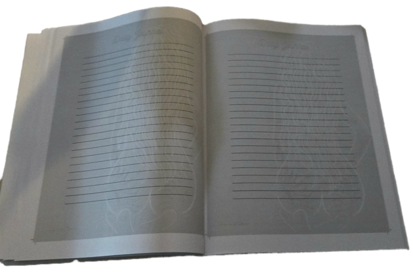 Goddess Journal