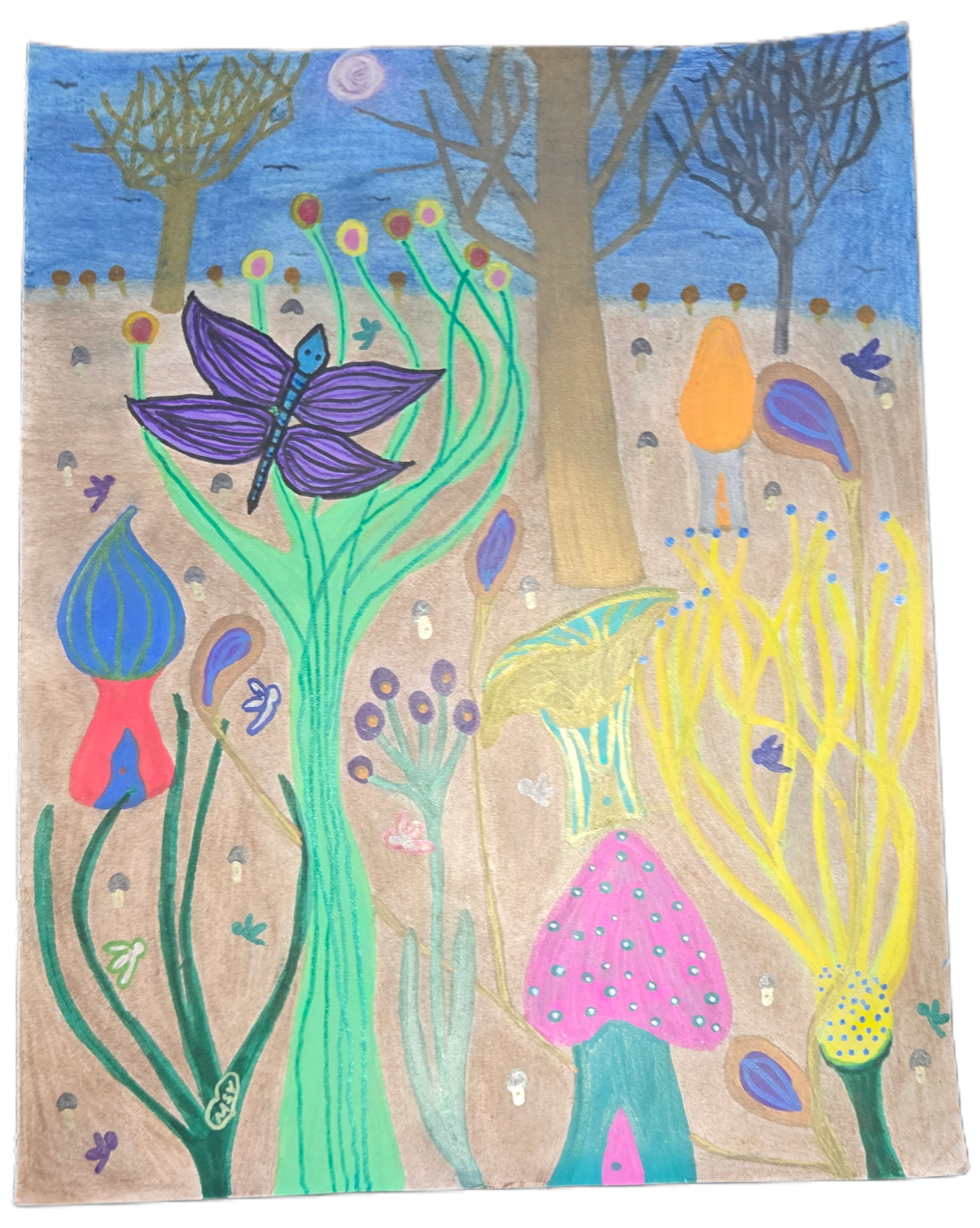 The Fae Moth Sanctuary