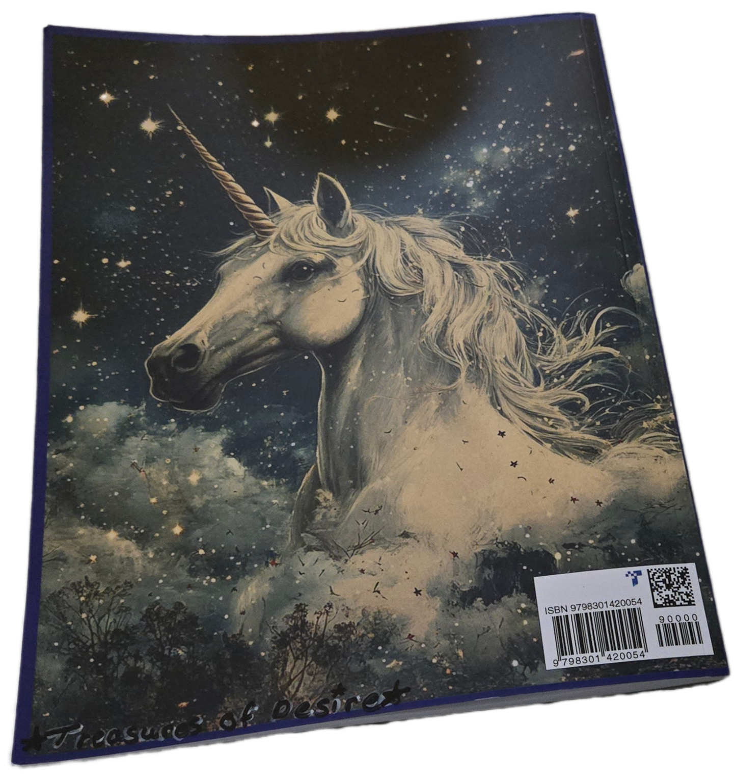 Magical Unicorns Coloring Book
