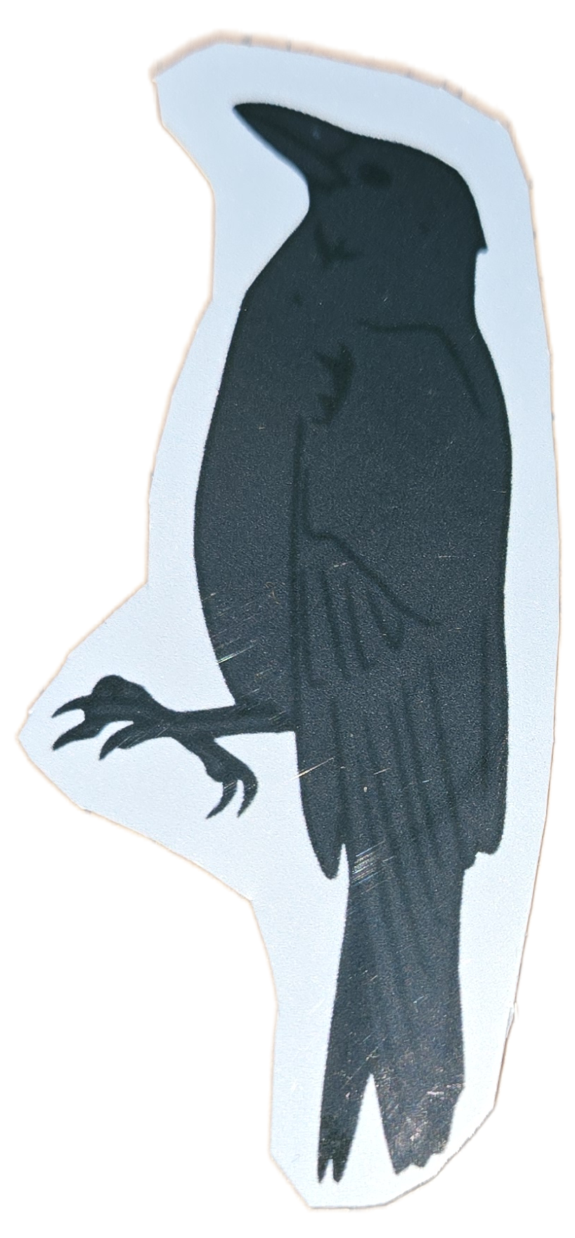 Obsidian Harbinger: The Raven Silhouette Sticker