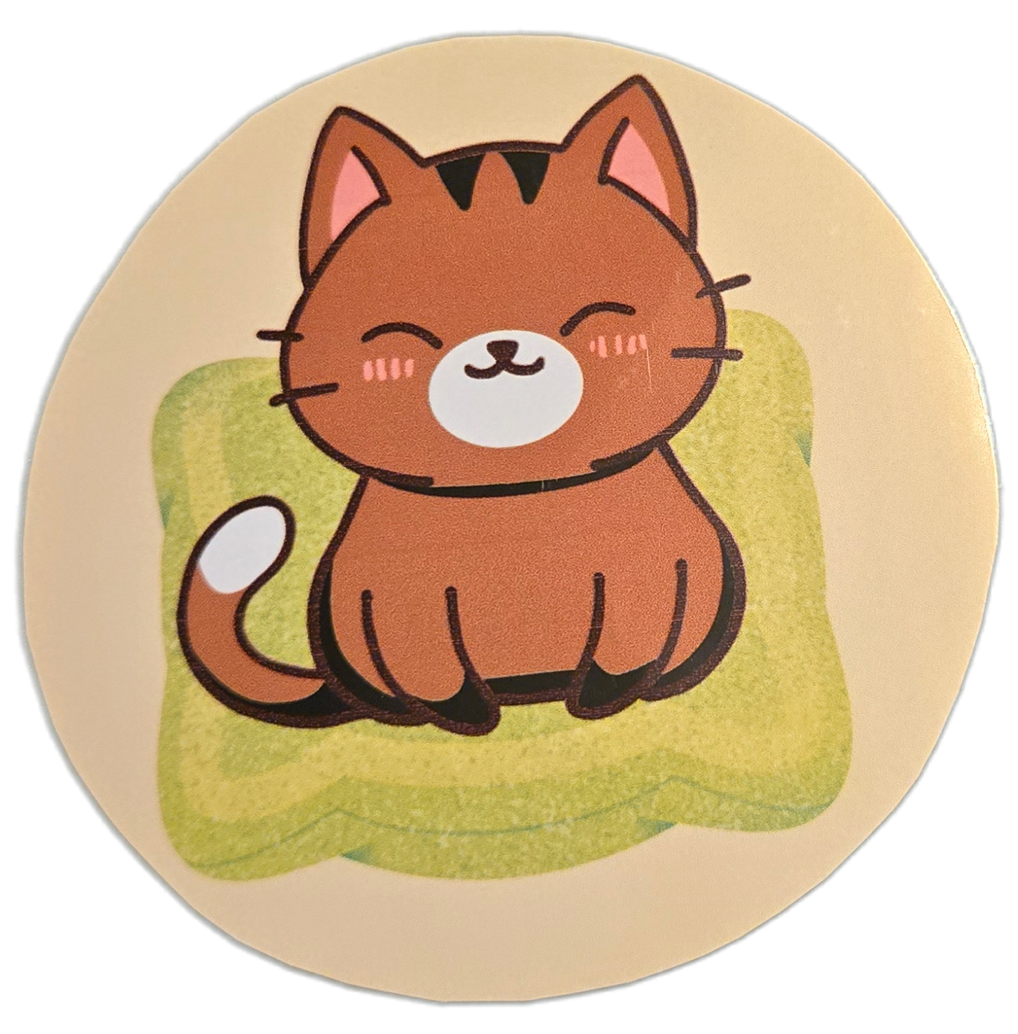 Blushy Brown Cat