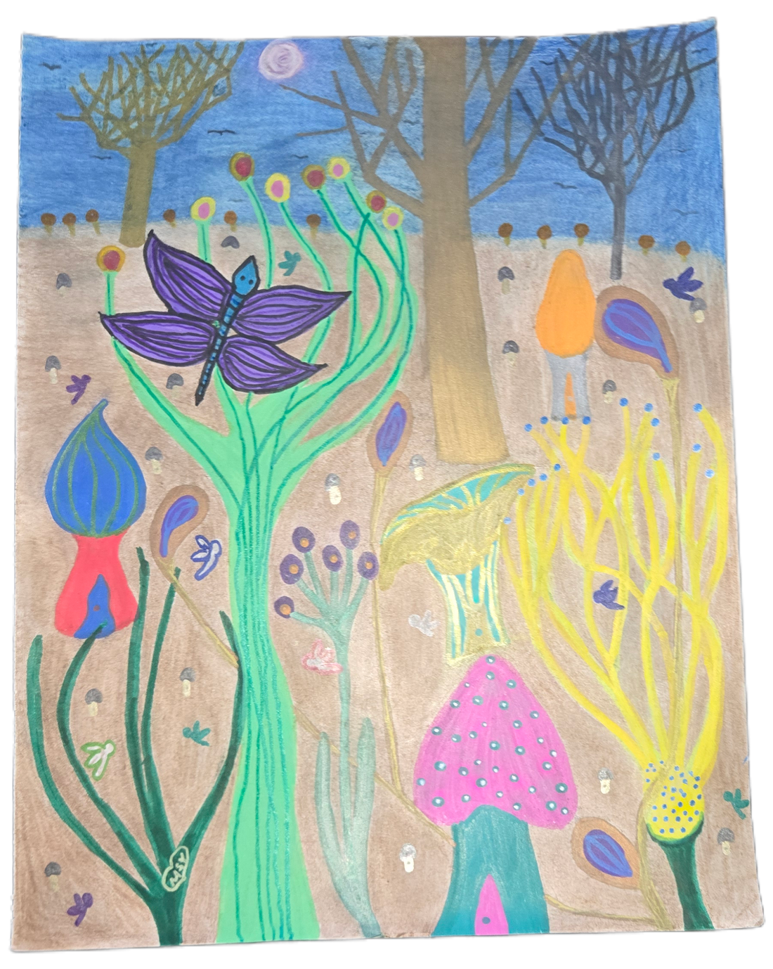 About the Artist: Mastering the Magical