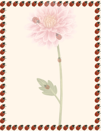 Lady bug Stationary Set Digital Download