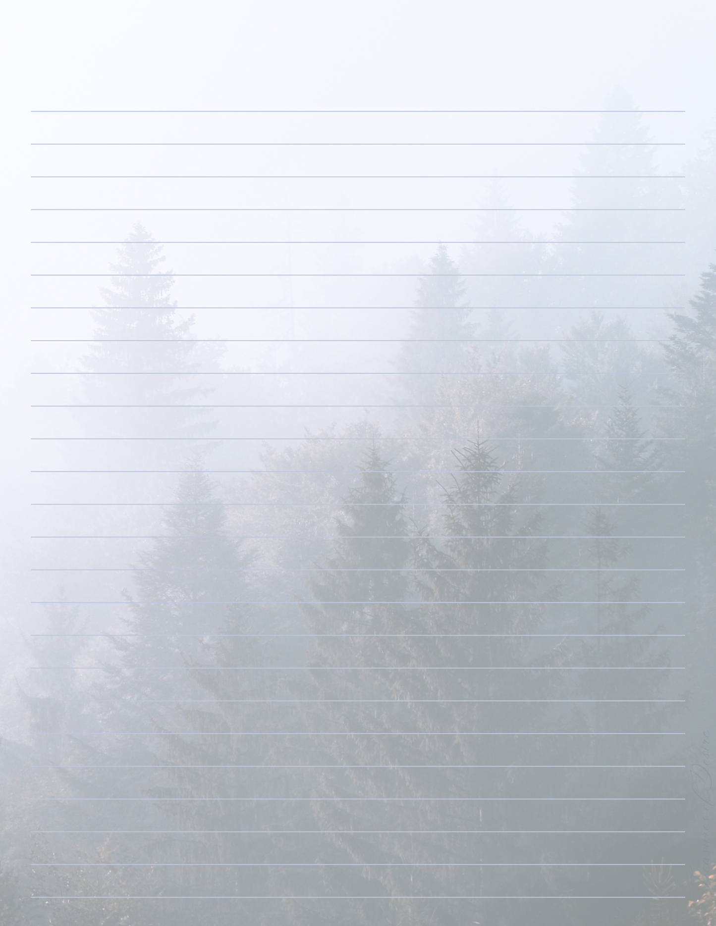 Douglas Fir Forest Stationary Set