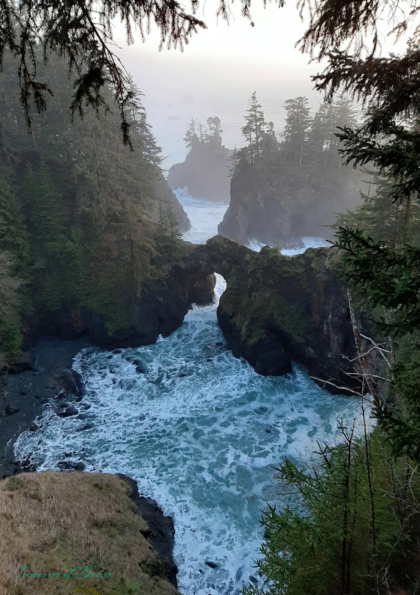 Oregon Coast Stationary Set