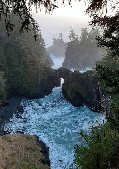 Oregon Coast Stationary Set