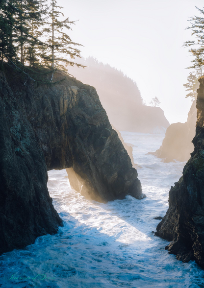 Oregon Coast Stationary Set