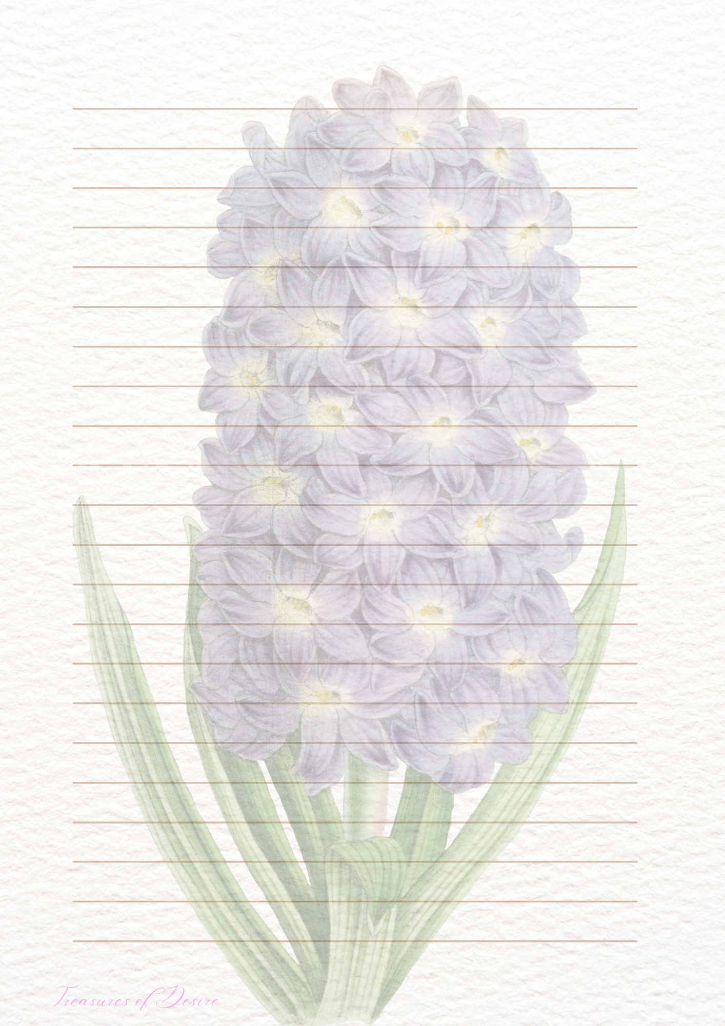 Flowers Galore Stationary Set Digital Download