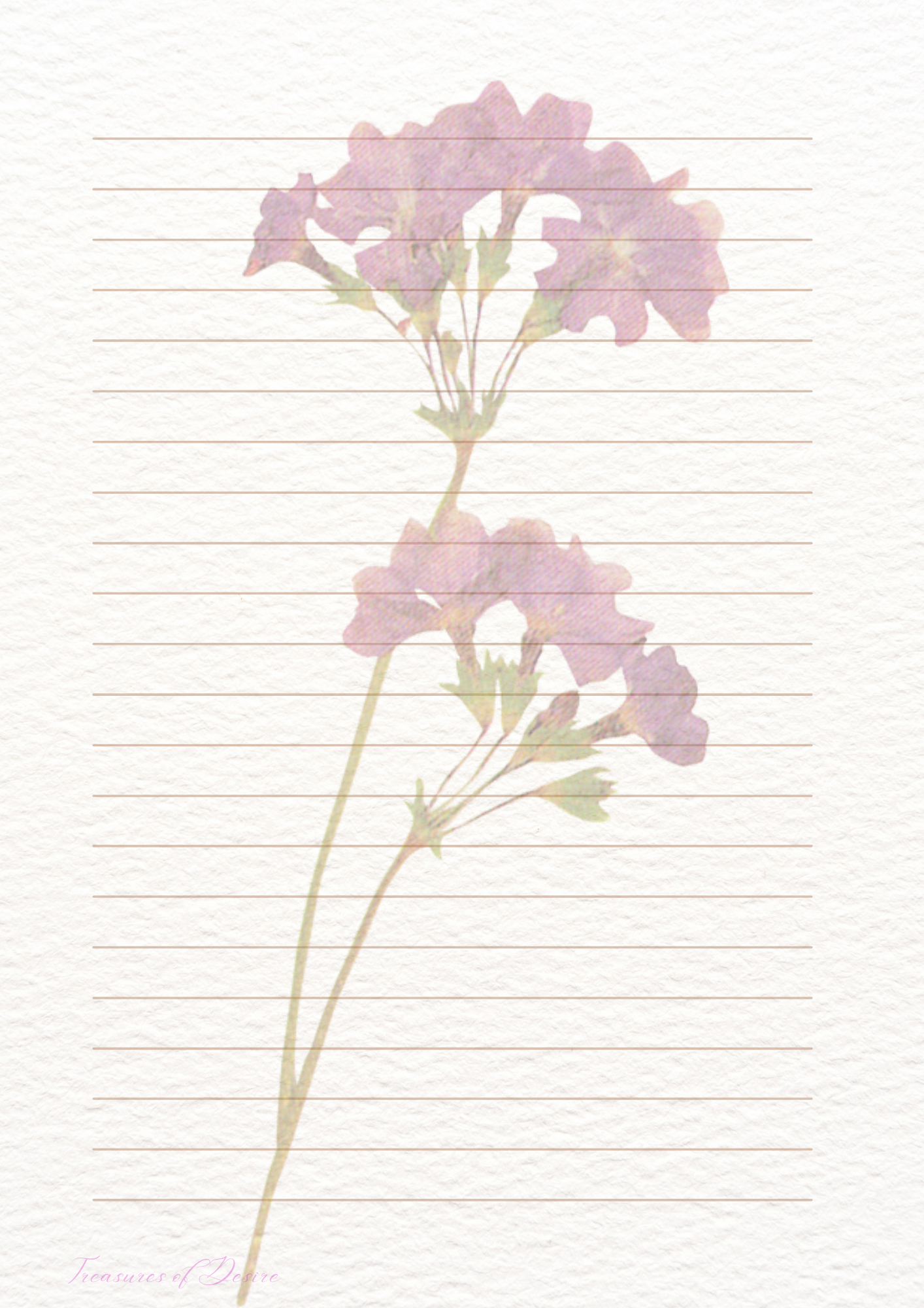 Flowers Galore Stationary Set Digital Download