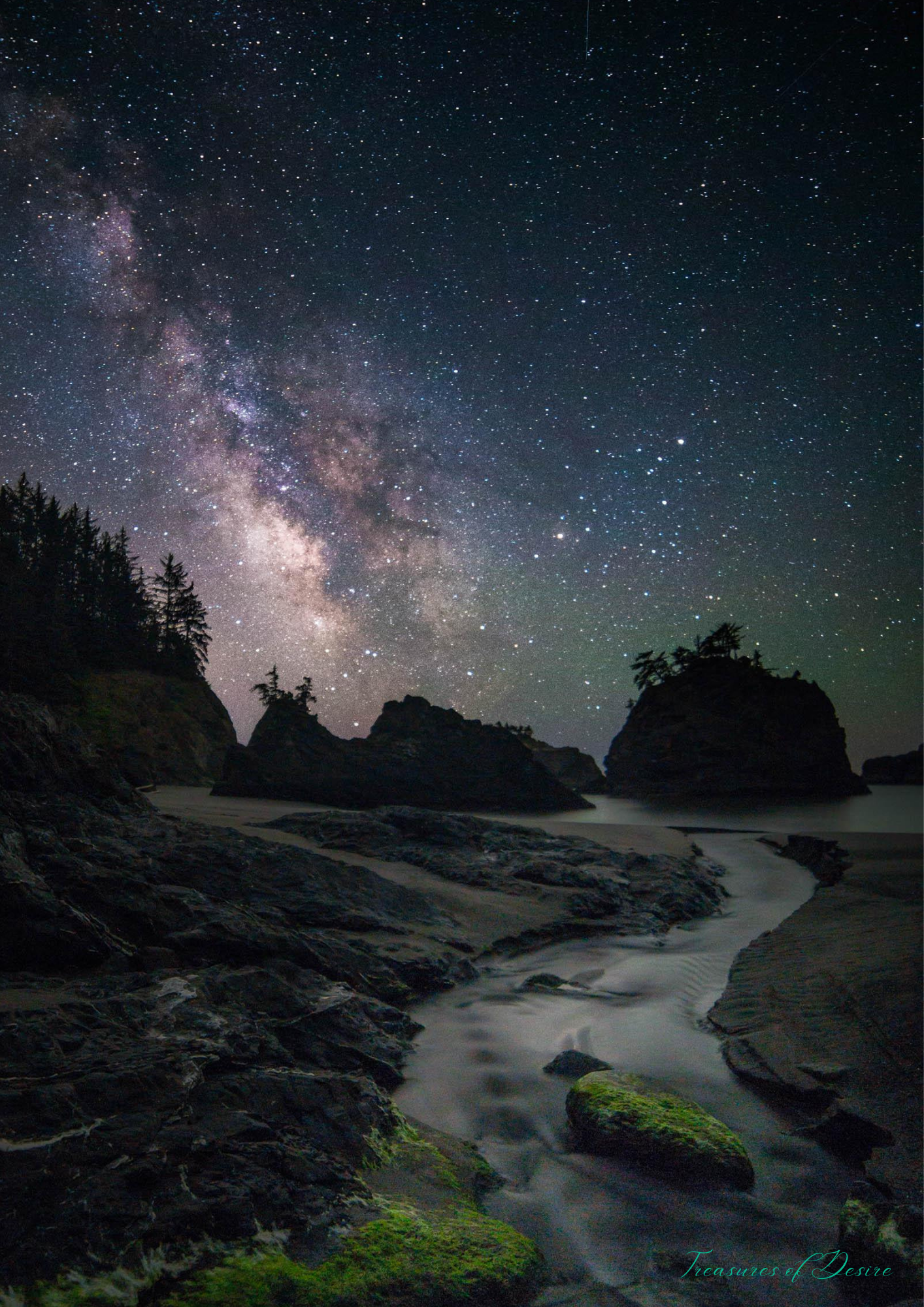 Oregon Coast Stationary Set