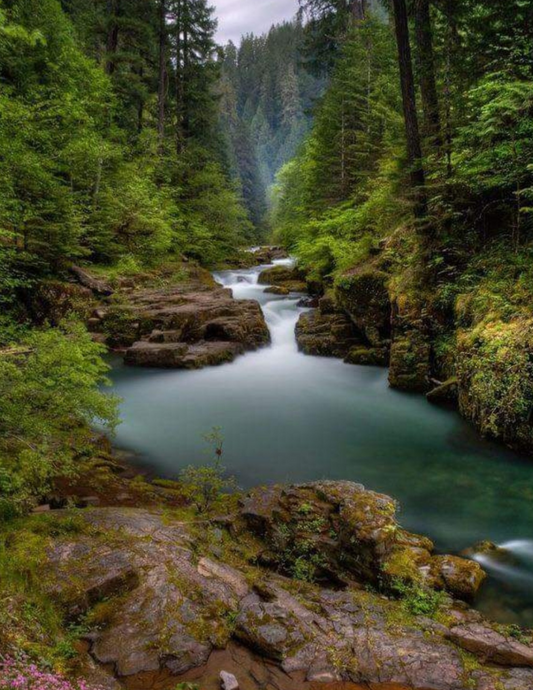 Brice Creek Oregon Poster Digital Download