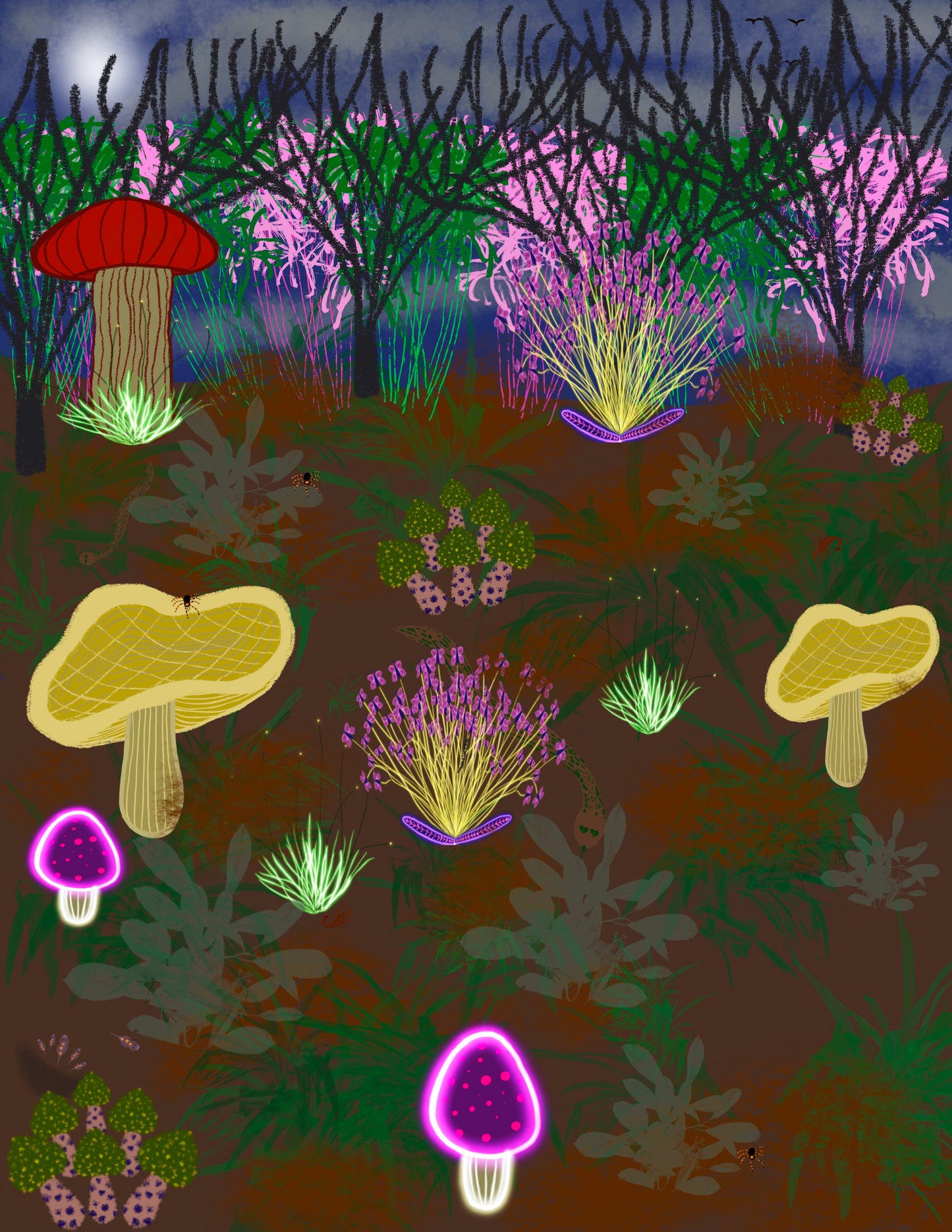 The Witching Grove