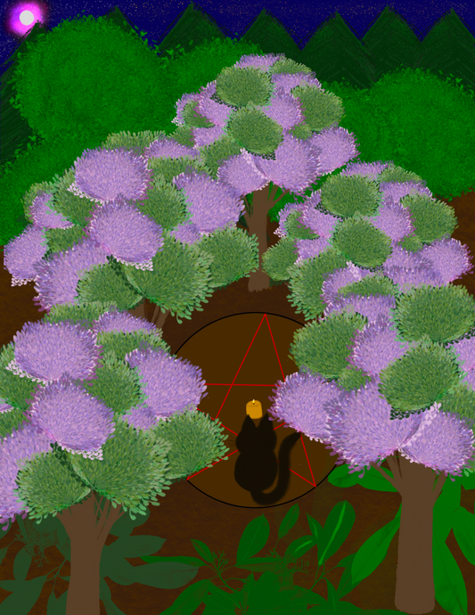 Portal of the Pine Veil