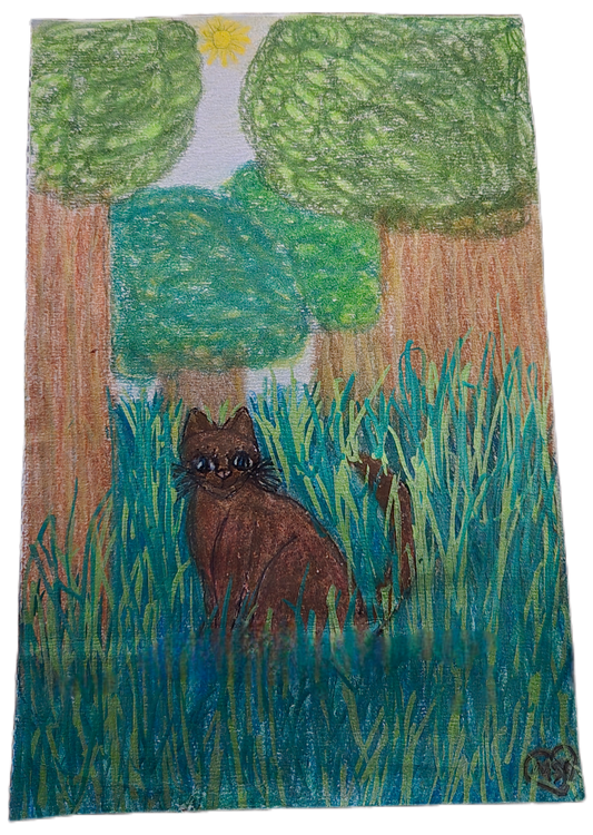 Forest Gaze