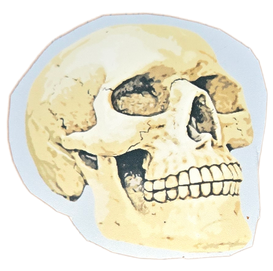 Ancient Echoes: The Ancestral Skull Sticker