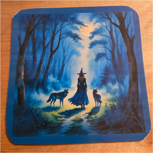 Moonlit Path